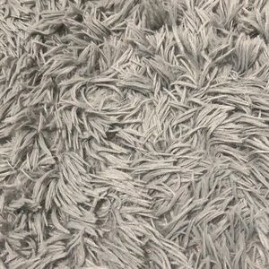 Meet your Posher, Bella